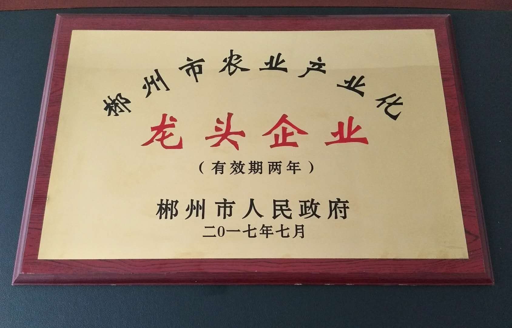 龍頭企業